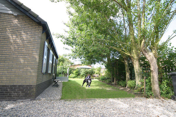 kip schuifelen levering aan huis Honden en omheinde tuin - Vakantiehuis Cadzand